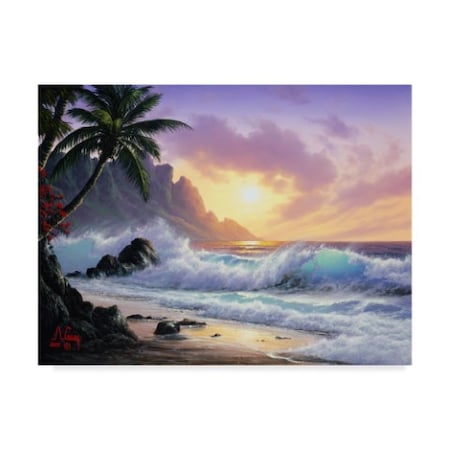 TRADEMARK FINE ART Anthony Casay 'Sunset Beach 1' Canvas Art, 35x47 ALI20254-C3547GG